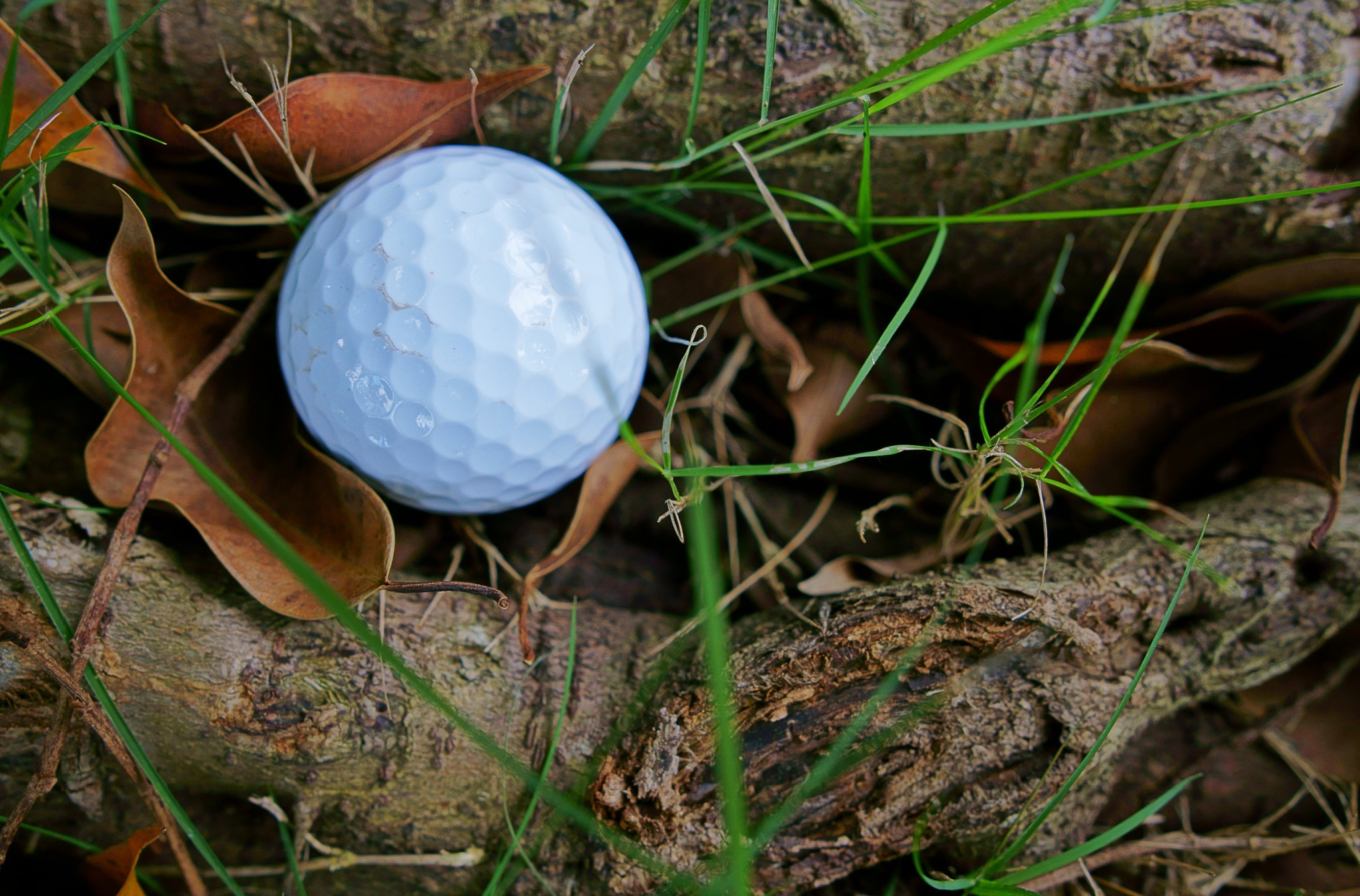 Play The Ball Where It Lies!